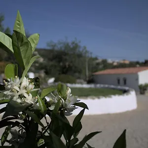  Appartement Swimming Pool Quinta Da Eira 140 Years Old Portugal